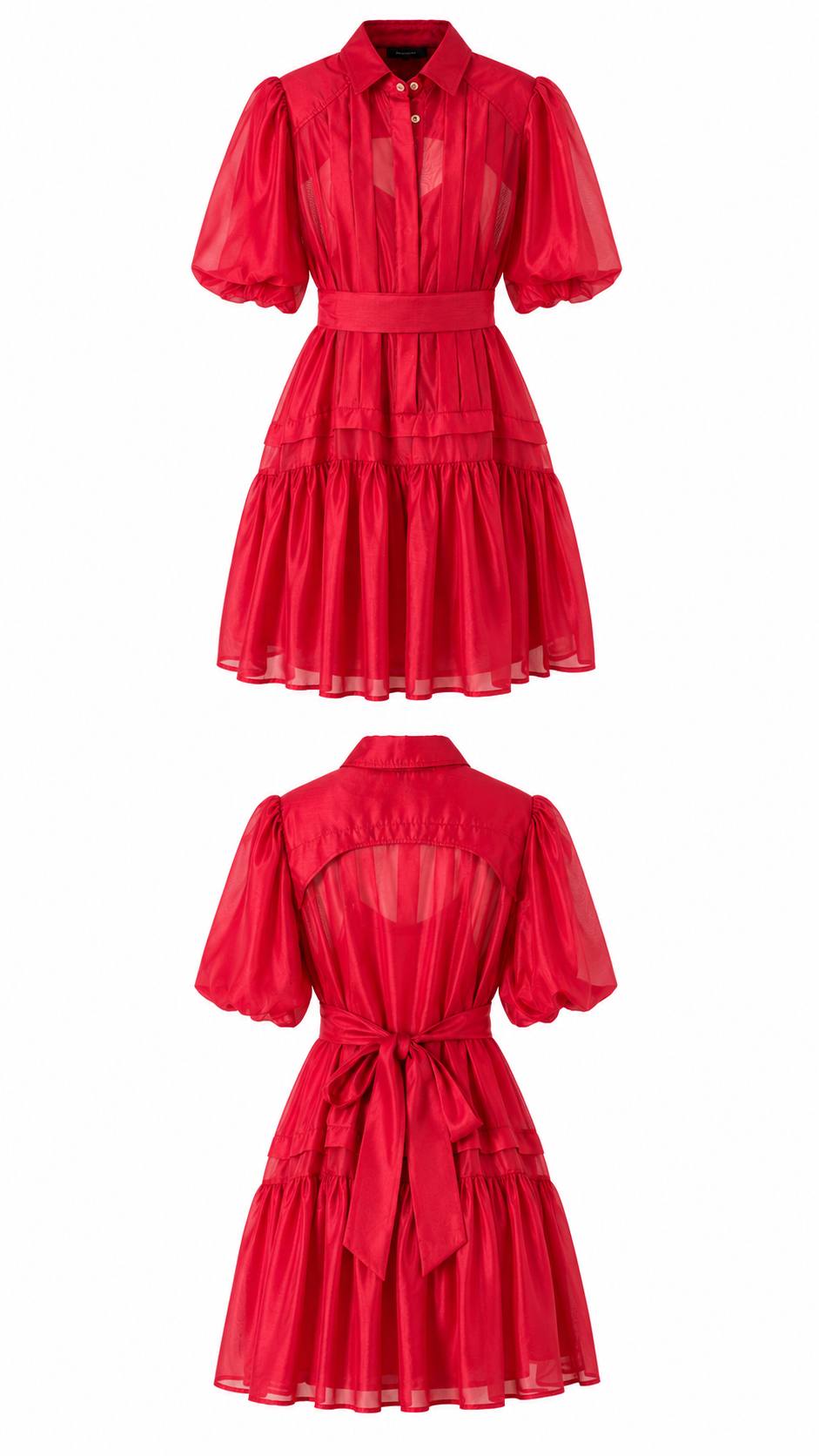 Scarlet Sheer Puff Sleeve Belted Mini Dress