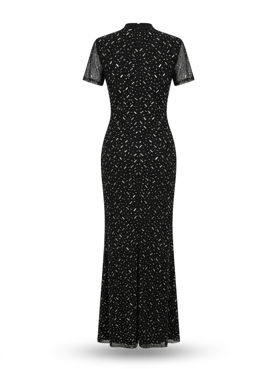 Midnight Sparkle Sheer Sleeve Maxi Dress
